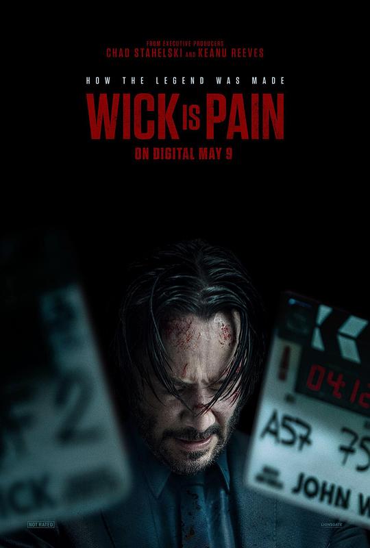 茄子视频《疾速剧痛 Wick Is Pain》免费在线观看