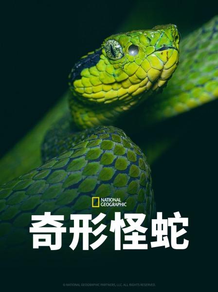 草榴社区《奇形怪蛇》免费在线观看